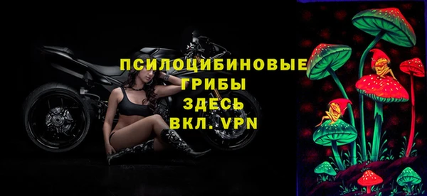 крисы Алексин