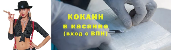 крисы Алексин