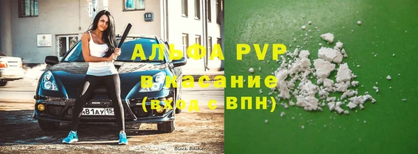 крисы Алексин
