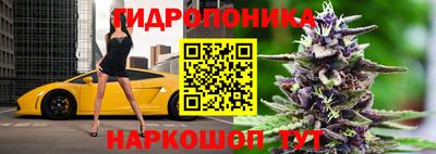 ALPHA PVP Малгобек