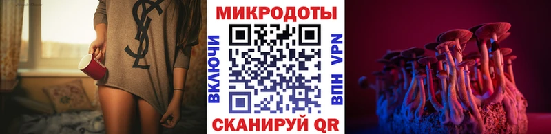 Псилоцибиновые грибы Psilocybine cubensis  Воткинск 